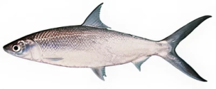 71b5028c25aa94dbc90c78a4d6a1cc65807f5302