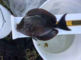 7a147c75529b921daeab0353cf7e79a1a9710307