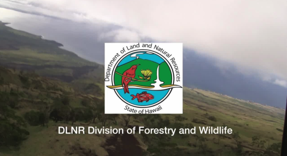 7fe240cdc21b78b845358703a17b19d7dfe53019