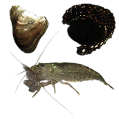 80945c0faaf89f1ac8191b5fce9cc1dc2872dcee