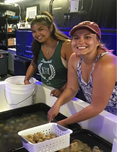 822e24f5eed760f03171c5208c78b1e78976f6f9