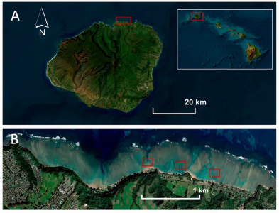 8a2051273d1d36c3ba335ea63884a33c11ff6460