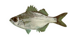 8e8486c9d49ff623e87f463aac296ec23c20d2e5