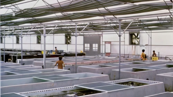 902d4f4c5df0bcbffa922834cd0fd7f5447a583b