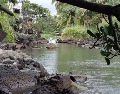 90e0c66ab529b389f90feb113af9874bc9224eb2