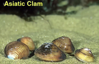 94c8fdb7a15d9a1dcbab8b2887b98c9dfc1befc5