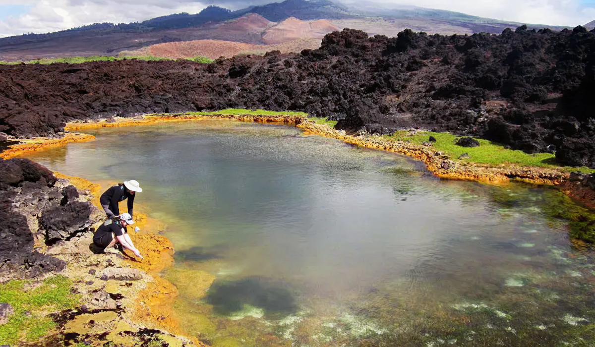 954f4526fbca270006d22f5d9f56654c9edf853b