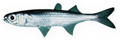 9984304bbf85b1b94f0da57bb5d9f0993fe53cf5