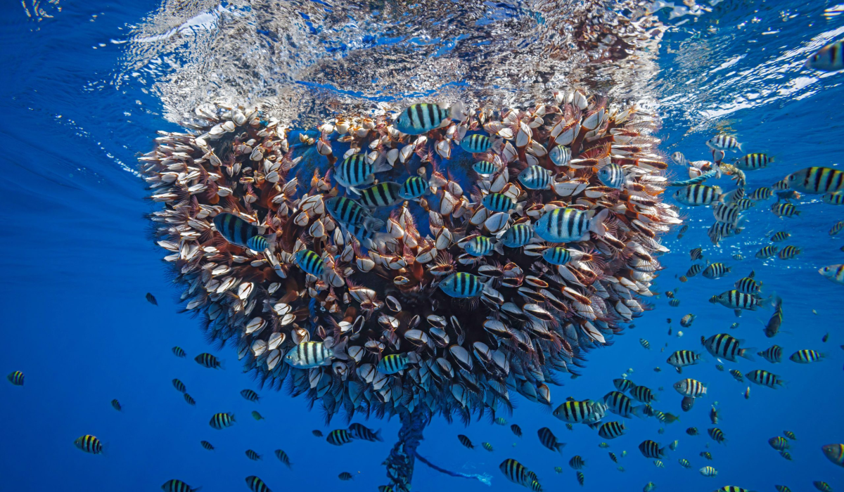 9d08f8d725766638d9c91796026216bf4b3cb5d3