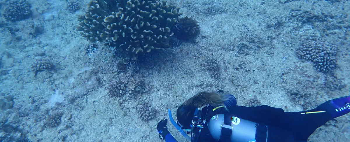 9d6c9622b01b6f7c415dcd21840c054d9721d869