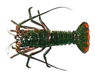 9e5608c78dc8d5a3f6b6600417d55e0374f90472