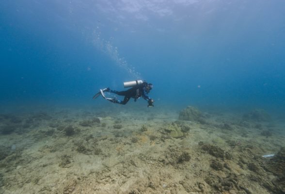 AIS-Kakaako-Orthoimagery