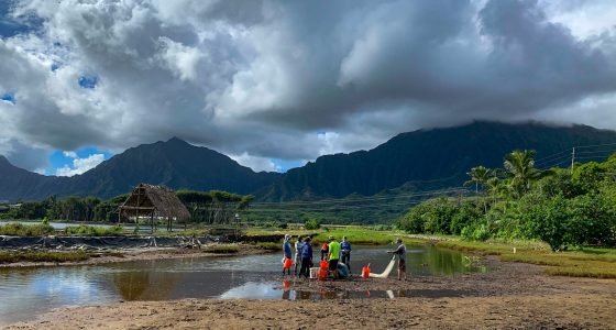 DAR_and_Heeia_partners_Heeia stream fieldwork