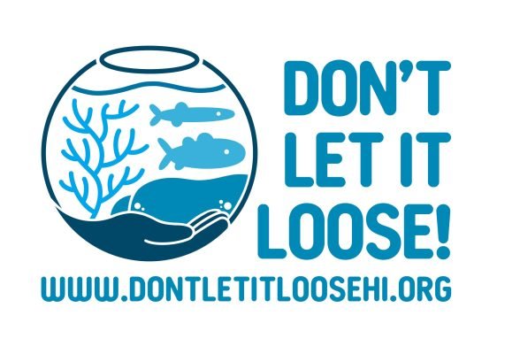 Do not let it loose image