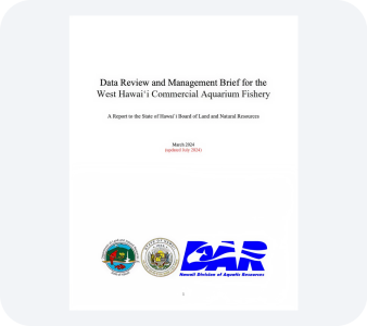 Other Reports PDF file