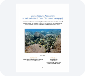 Other Reports PDF file