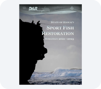 Other Reports PDF file