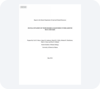 Other Reports PDF file