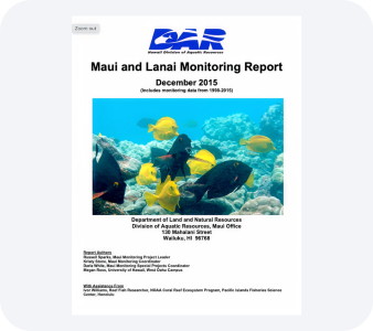 Other Reports PDF file