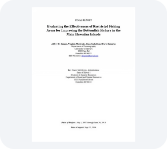 Other Reports PDF file