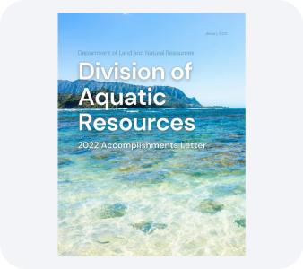 Other Reports PDF file