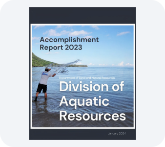 Other Reports PDF file