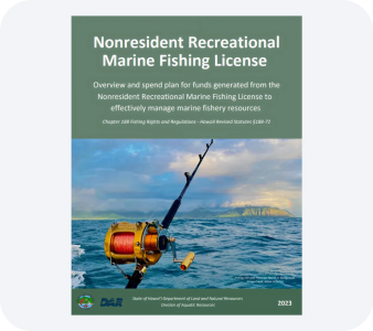 Other Reports PDF file