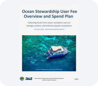 Other Reports PDF file