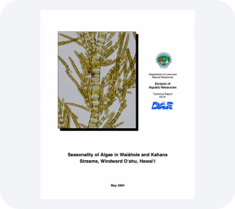 Technical Report PDF file