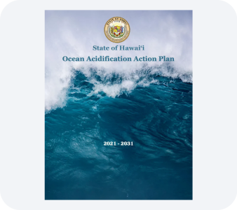 Other Reports PDF file