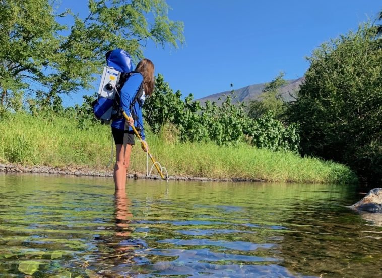 Jody_stream_eDNA_FEB2023 2