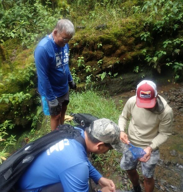 DAR Stream Surveyors