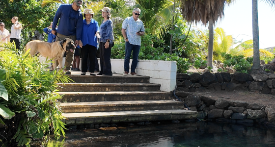 Mazie Hirono speaking with Daughters of the American Revolution and local community members at Kanewai Springs during a site visit