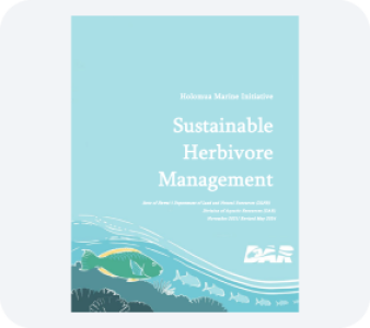 Other Reports PDF file