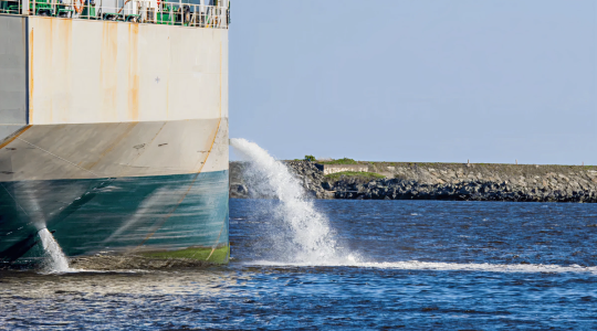 View Ballast Water Details