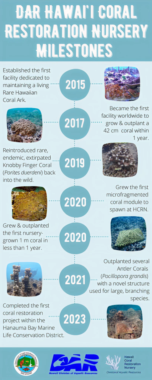 a1278957e18afbcab0b1a8c132fe8eb142049c19