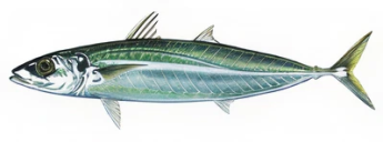 a26a05f889cb67192b33d8cad2095ce7e40fb6fd