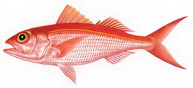 a361fe41dd34b0f2b31950680834edd776be7413