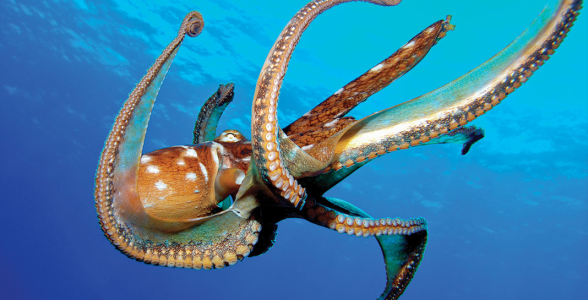 a90ac0c8c037e3a9317732b7b1241d0939dc27c0