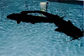 ab96f3669e2f9037ce78763f890771c15a809592