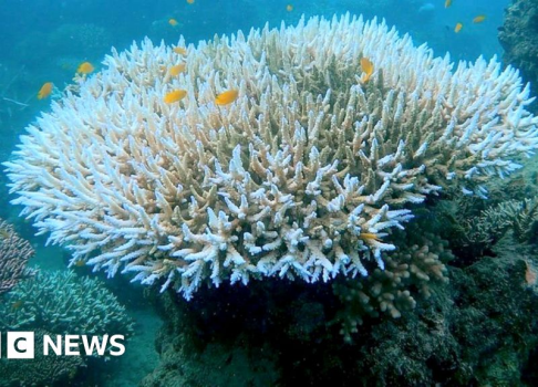 af1df993862bf38fa3685cc2f432d182083d7395