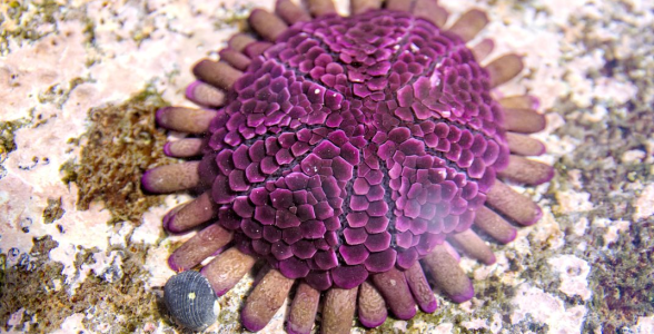 b4b0f5dea58c1f8b54ae84ac1079cec2ac9641e7