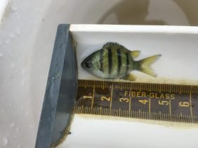 b8b9e109b8ddc8a8609913276f220d179a782f3f