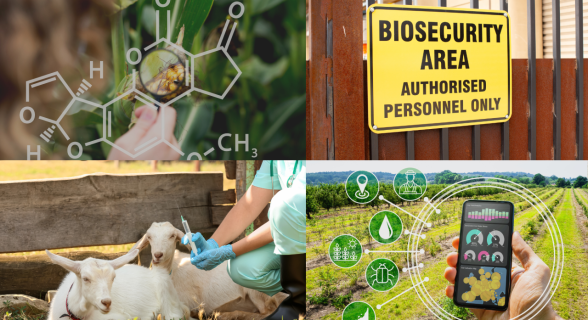 be6561b64bec649ee9f6acf2563de64f62876e87