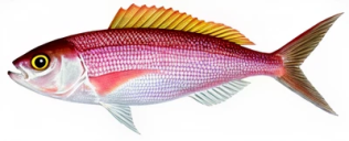 c134fbd7c129df23ff01ee78f45fed1dc23a5834