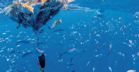 c2b0550cfd20608c507c5a5be6a2a25e7e4cc815