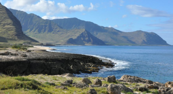 c3138c5e0b0f747fddbef9beda318dde92a8b0ae