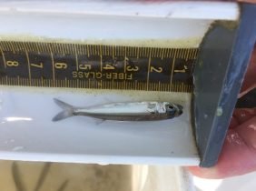 c3306c862150b75232c639a05b26759beef9012e