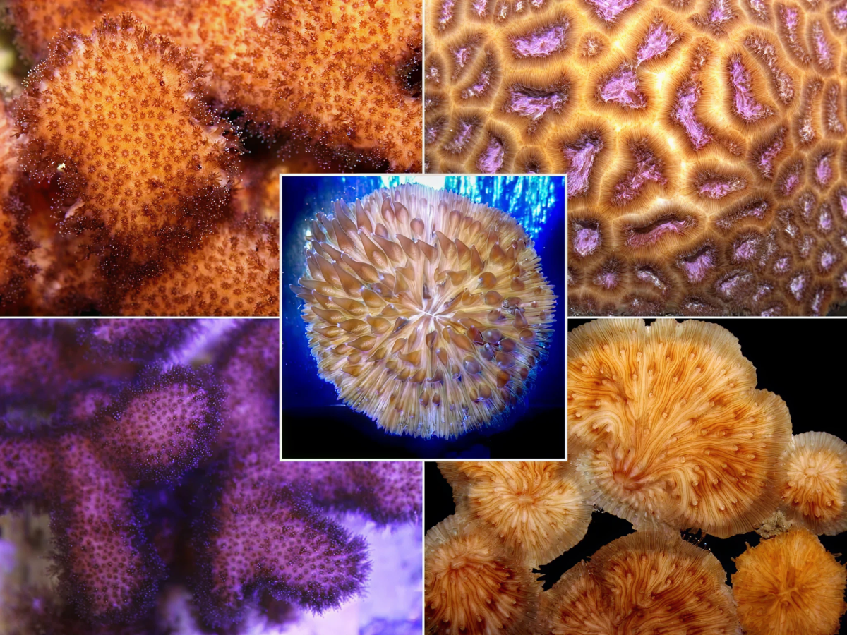 cad6bce6403a14e06335d84f2b402a14dd4dc2fb