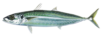 cd652a7d0f9fcdcf9b6d61dfc85af19ff38e1db5